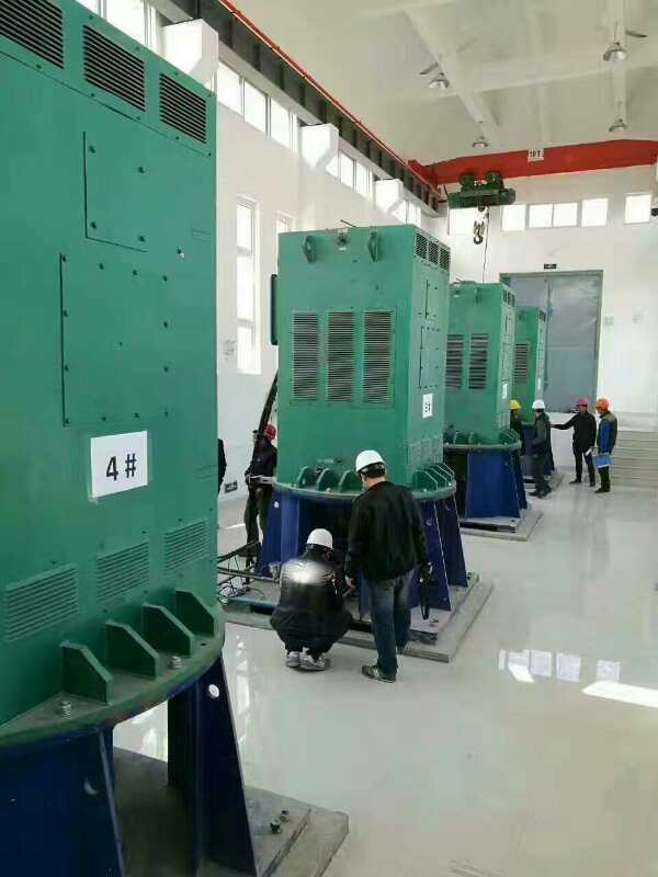 温县某污水处理厂使用我厂的立式高压电机安装现场